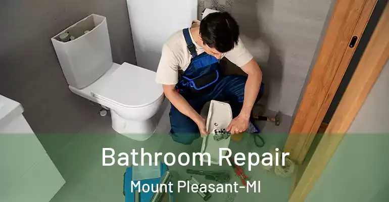 inner Bathroom imggen Bathroom Repair Mount Pleasant-MI