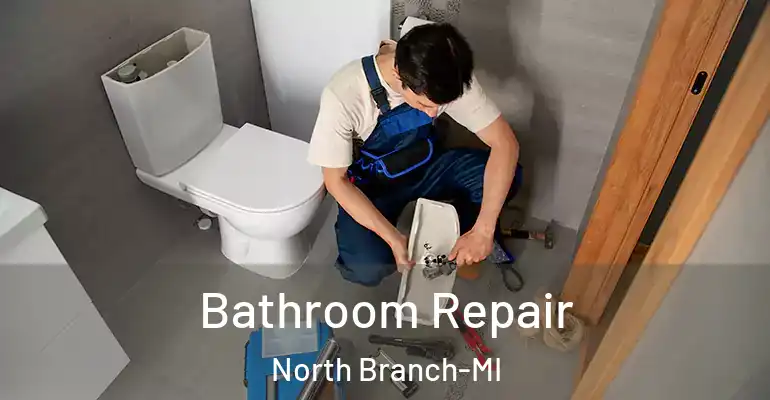 inner Bathroom imggen Bathroom Repair North Branch-MI