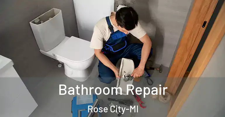 inner Bathroom imggen Bathroom Repair Rose City-MI