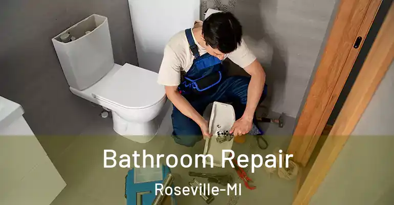 inner Bathroom imggen Bathroom Repair Roseville-MI