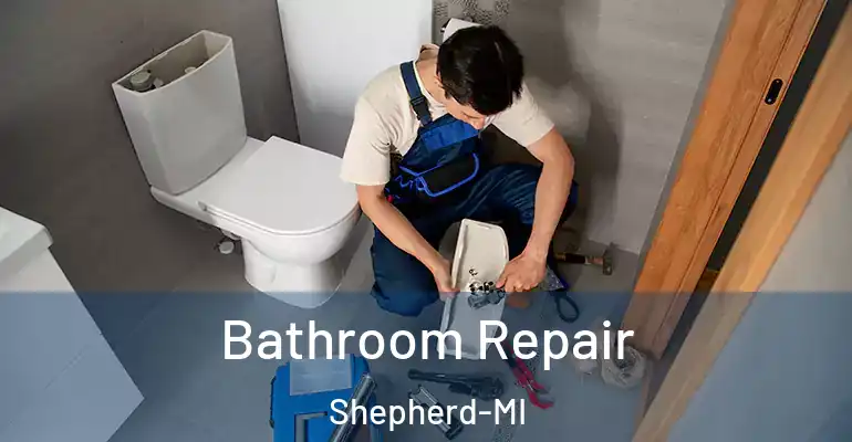 inner Bathroom imggen Bathroom Repair Shepherd-MI