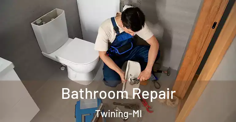 inner Bathroom imggen Bathroom Repair Twining-MI