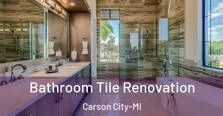inner Bathroom imggen Bathroom Tile Renovation Carson City-MI