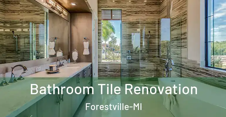 inner Bathroom imggen Bathroom Tile Renovation Forestville-MI