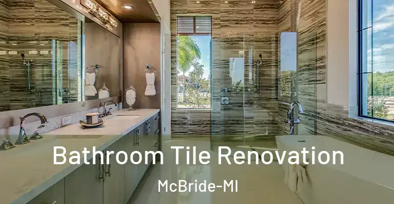 inner Bathroom imggen Bathroom Tile Renovation McBride-MI