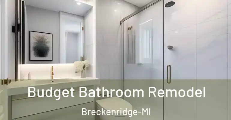 inner Bathroom imggen Budget Bathroom Remodel Breckenridge-MI