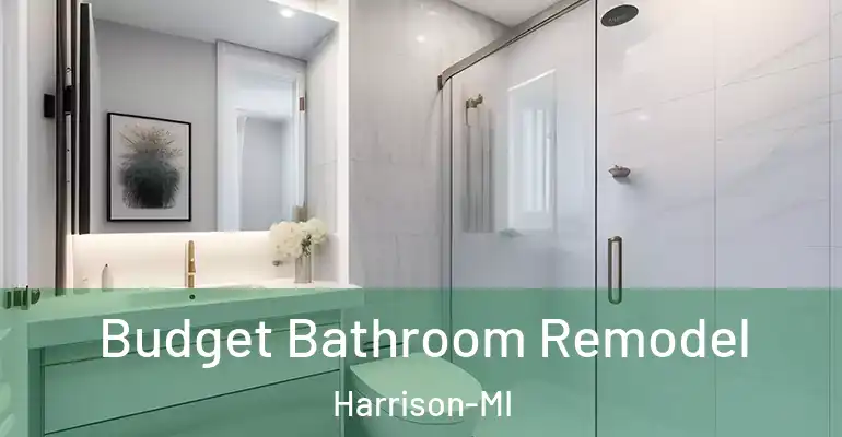 inner Bathroom imggen Budget Bathroom Remodel Harrison-MI