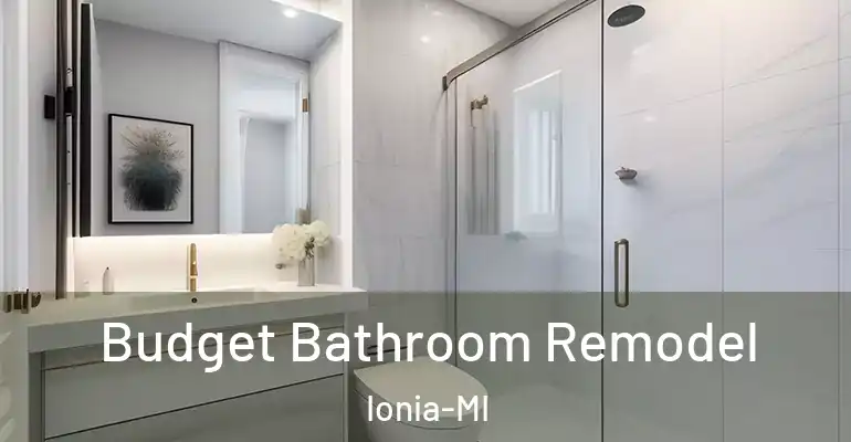 inner Bathroom imggen Budget Bathroom Remodel Ionia-MI