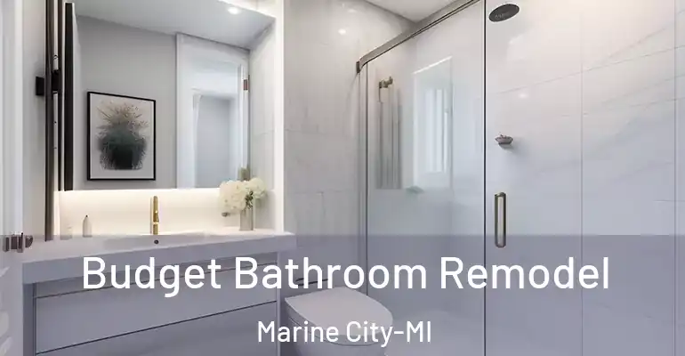 inner Bathroom imggen Budget Bathroom Remodel Marine City-MI