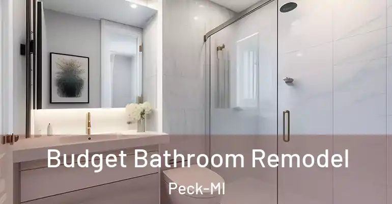 inner Bathroom imggen Budget Bathroom Remodel Peck-MI