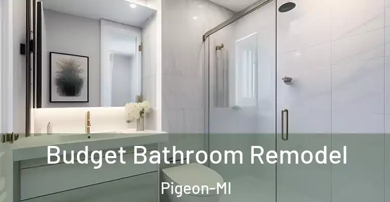 inner Bathroom imggen Budget Bathroom Remodel Pigeon-MI