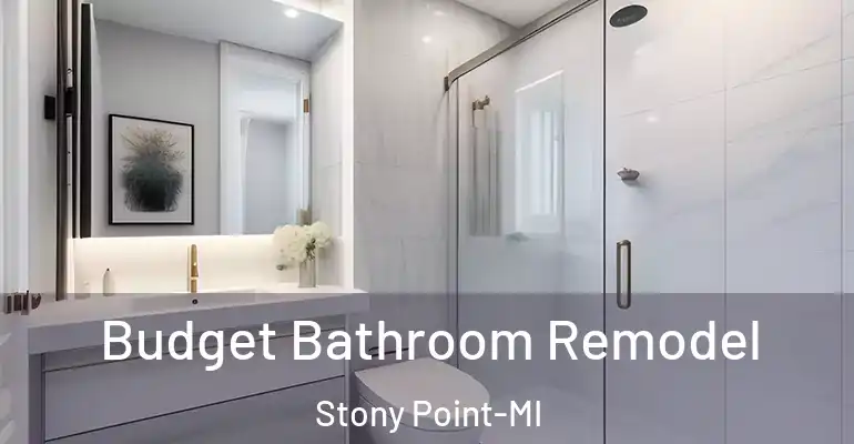inner Bathroom imggen Budget Bathroom Remodel Stony Point-MI
