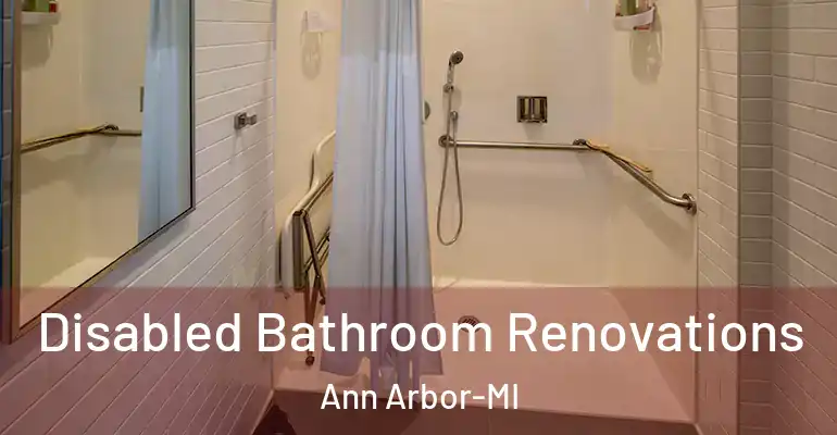 inner Bathroom imggen Disabled Bathroom Renovations Ann Arbor-MI