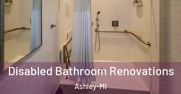 inner Bathroom imggen Disabled Bathroom Renovations Ashley-MI