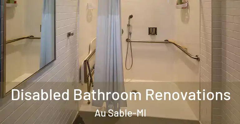 inner Bathroom imggen Disabled Bathroom Renovations Au Sable-MI