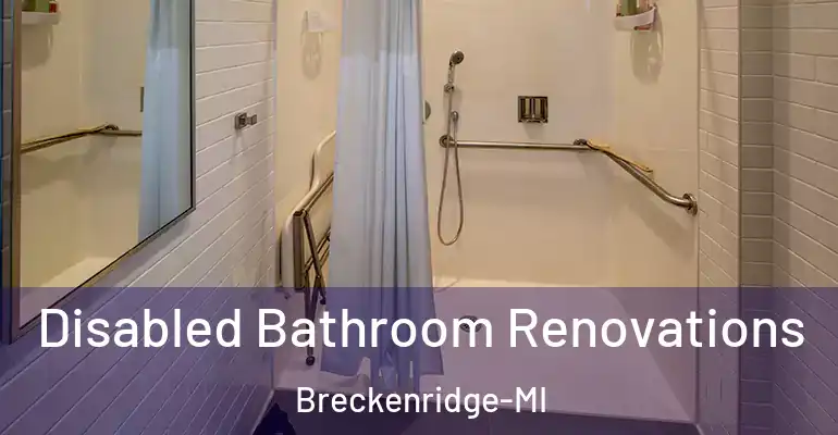 inner Bathroom imggen Disabled Bathroom Renovations Breckenridge-MI