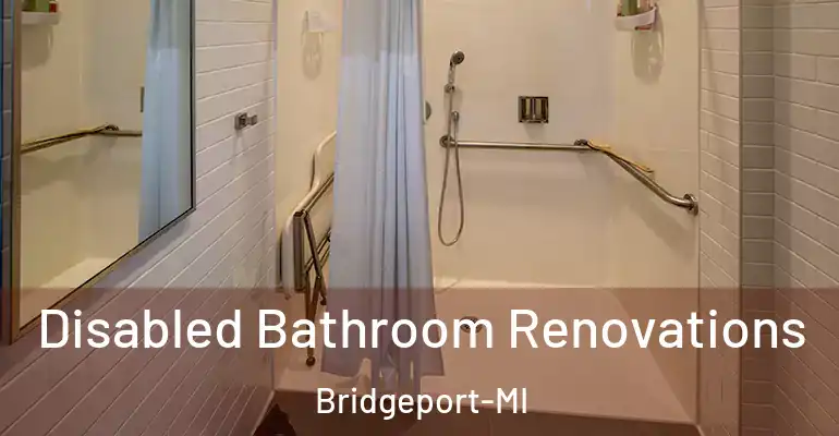 inner Bathroom imggen Disabled Bathroom Renovations Bridgeport-MI