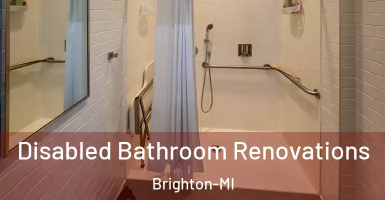 inner Bathroom imggen Disabled Bathroom Renovations Brighton-MI