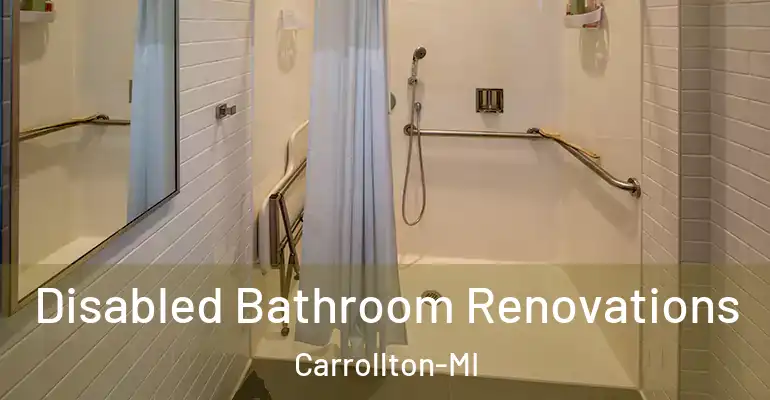 inner Bathroom imggen Disabled Bathroom Renovations Carrollton-MI