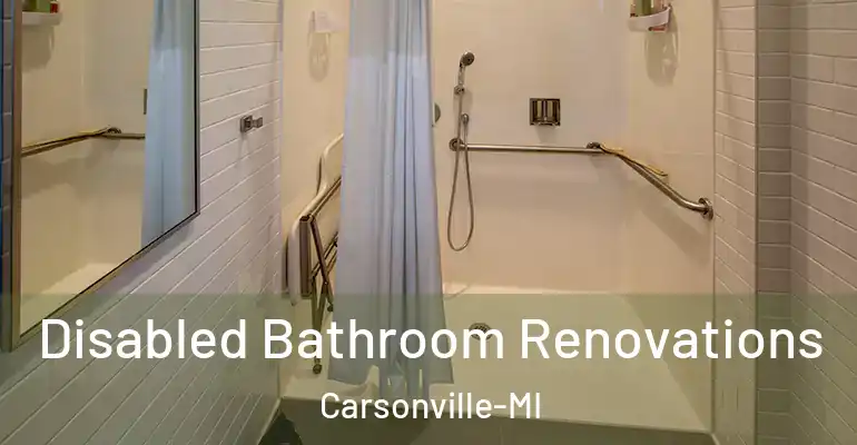 inner Bathroom imggen Disabled Bathroom Renovations Carsonville-MI