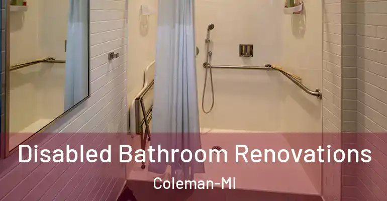 inner Bathroom imggen Disabled Bathroom Renovations Coleman-MI