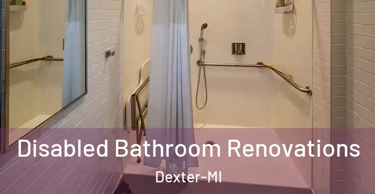 inner Bathroom imggen Disabled Bathroom Renovations Dexter-MI