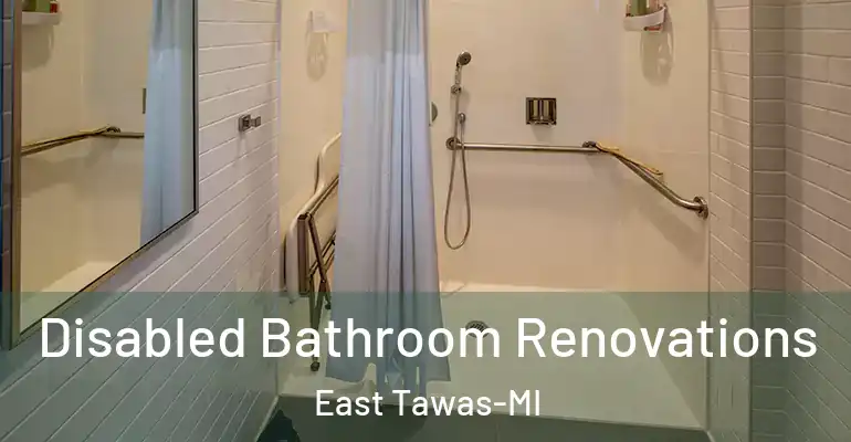 inner Bathroom imggen Disabled Bathroom Renovations East Tawas-MI