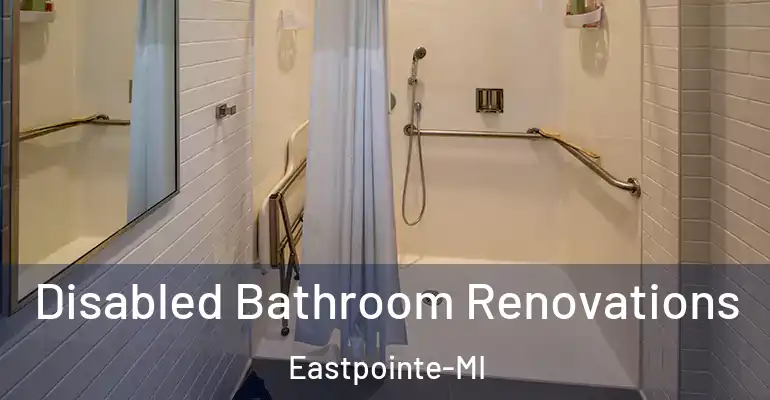 inner Bathroom imggen Disabled Bathroom Renovations Eastpointe-MI