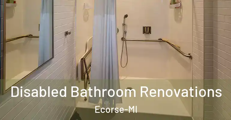 inner Bathroom imggen Disabled Bathroom Renovations Ecorse-MI