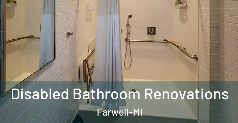 inner Bathroom imggen Disabled Bathroom Renovations Farwell-MI