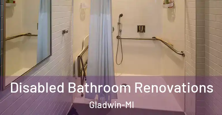 inner Bathroom imggen Disabled Bathroom Renovations Gladwin-MI