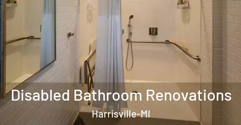 inner Bathroom imggen Disabled Bathroom Renovations Harrisville-MI