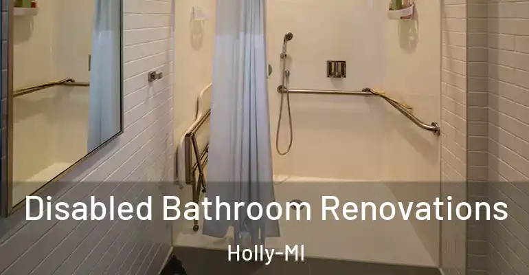 inner Bathroom imggen Disabled Bathroom Renovations Holly-MI