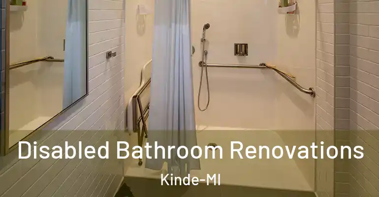 inner Bathroom imggen Disabled Bathroom Renovations Kinde-MI