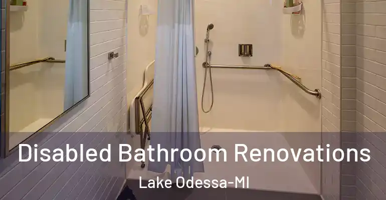 inner Bathroom imggen Disabled Bathroom Renovations Lake Odessa-MI