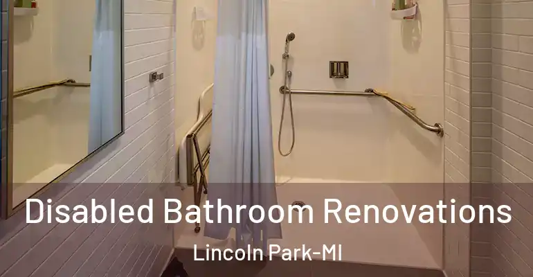 inner Bathroom imggen Disabled Bathroom Renovations Lincoln Park-MI