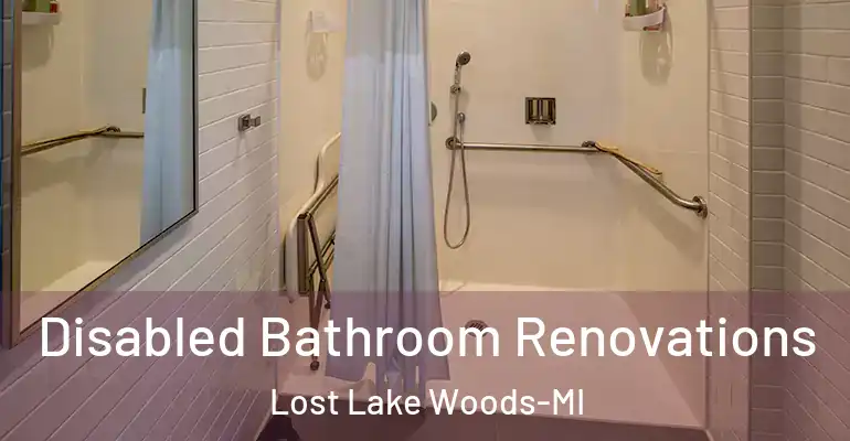 inner Bathroom imggen Disabled Bathroom Renovations Lost Lake Woods-MI