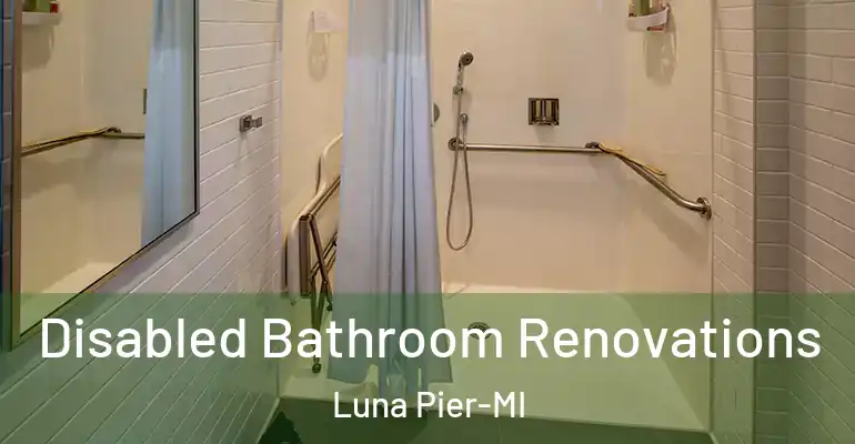inner Bathroom imggen Disabled Bathroom Renovations Luna Pier-MI