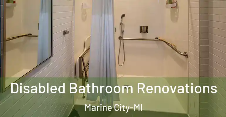 inner Bathroom imggen Disabled Bathroom Renovations Marine City-MI