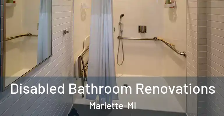 inner Bathroom imggen Disabled Bathroom Renovations Marlette-MI