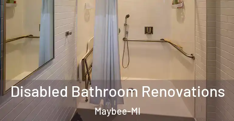 inner Bathroom imggen Disabled Bathroom Renovations Maybee-MI