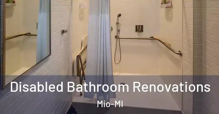 inner Bathroom imggen Disabled Bathroom Renovations Mio-MI