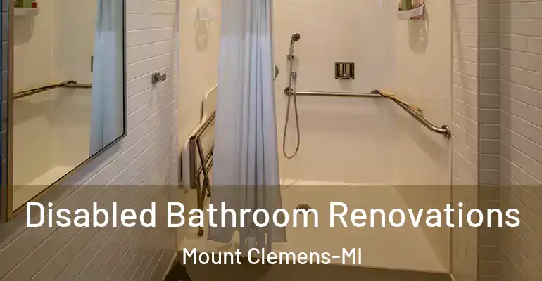 inner Bathroom imggen Disabled Bathroom Renovations Mount Clemens-MI