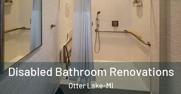 inner Bathroom imggen Disabled Bathroom Renovations Otter Lake-MI