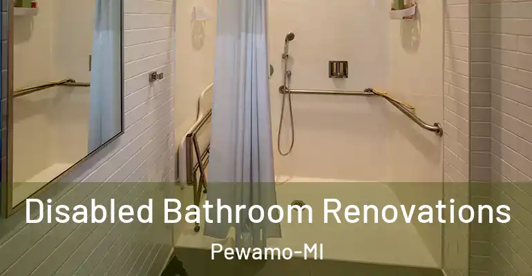 inner Bathroom imggen Disabled Bathroom Renovations Pewamo-MI