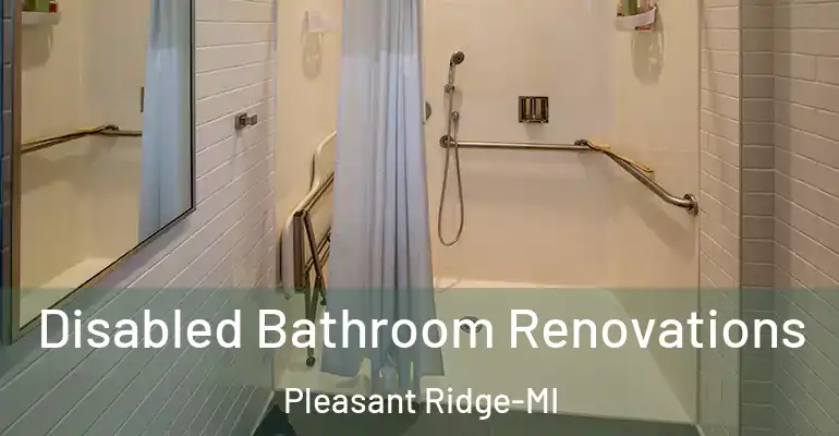inner Bathroom imggen Disabled Bathroom Renovations Pleasant Ridge-MI