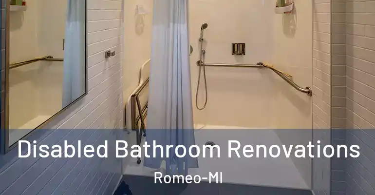 inner Bathroom imggen Disabled Bathroom Renovations Romeo-MI