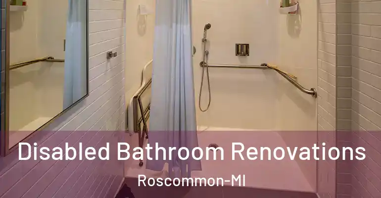 inner Bathroom imggen Disabled Bathroom Renovations Roscommon-MI