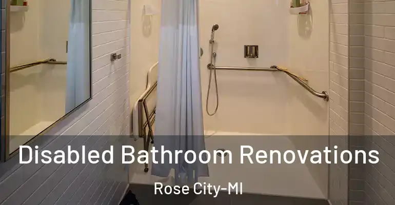 inner Bathroom imggen Disabled Bathroom Renovations Rose City-MI