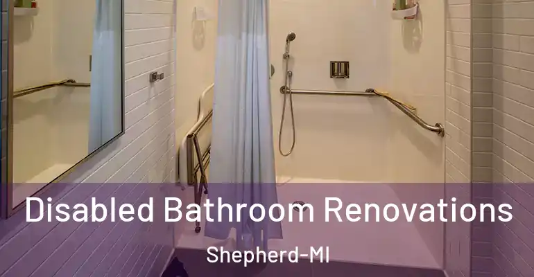 inner Bathroom imggen Disabled Bathroom Renovations Shepherd-MI